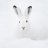 SnowRabbit