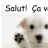 Secka