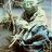 chasseur44
