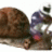 Escargot04