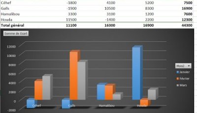Tableaux croisés dynamiques d'Excel